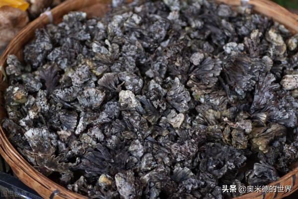 中國最早開通國際動車的“雲南省”的20個冷知識,你知道幾個? 中國最早開通國際動車的“雲南省”的20個冷知識,你知道幾個?