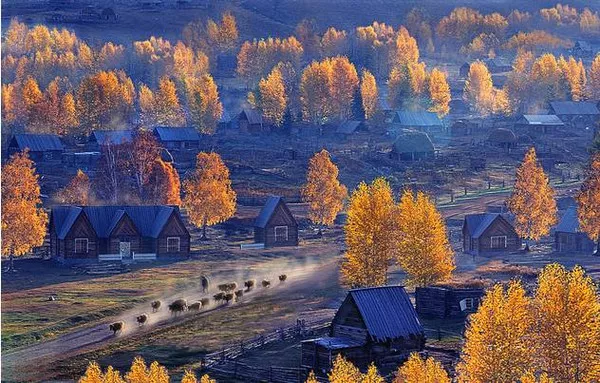 等疫情結束後，我們去撿石頭吧