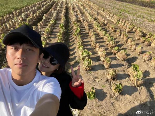 娛樂圈裡十分恩愛的明星夫妻