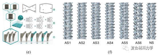 大連理工|清華大學頂刊綜述:先進蜂窩結構設計及力學效能提升 大連理工|清華大學頂刊綜述:先進蜂窩結構設計及力學效能提升