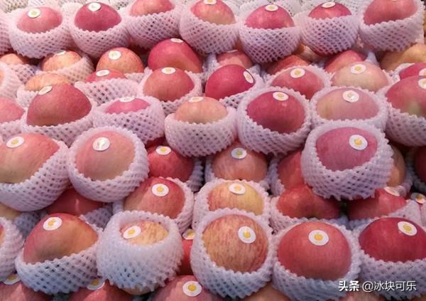 拿著父母的血汗錢換來了物質，到頭來卻埋怨他們給的不夠多