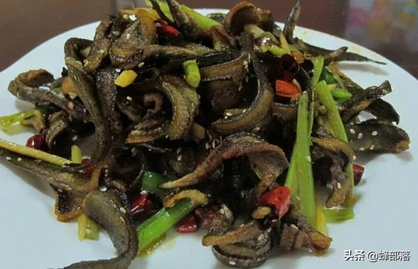 市場上賣60元一斤的“刀鰍魚”，在農村之中，為啥沒人敢養殖？