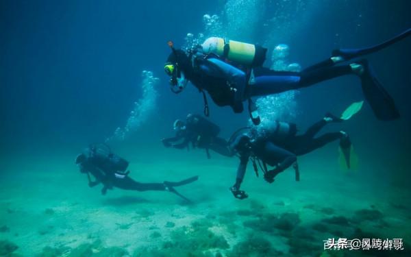 德國潛水員印尼探險，6萬件唐朝國寶不幸被搶，專家怒斥：強盜