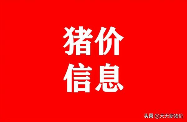 豬價行情！破7奔8？大面積飄紅！2021.10.22 生豬價格查詢