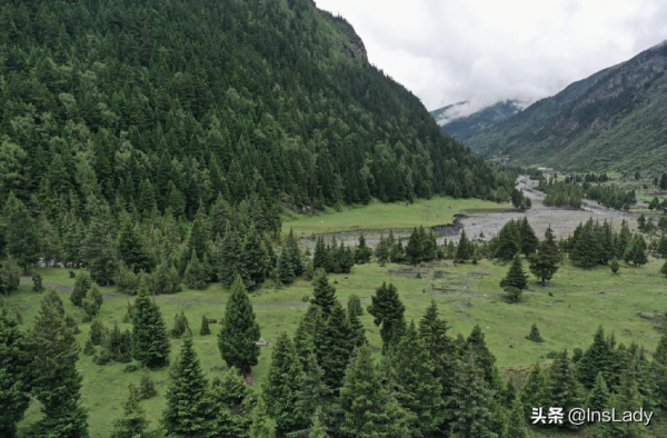 中國最美民宿一晚6000，網友看完：太便宜了&period;&period;&period;