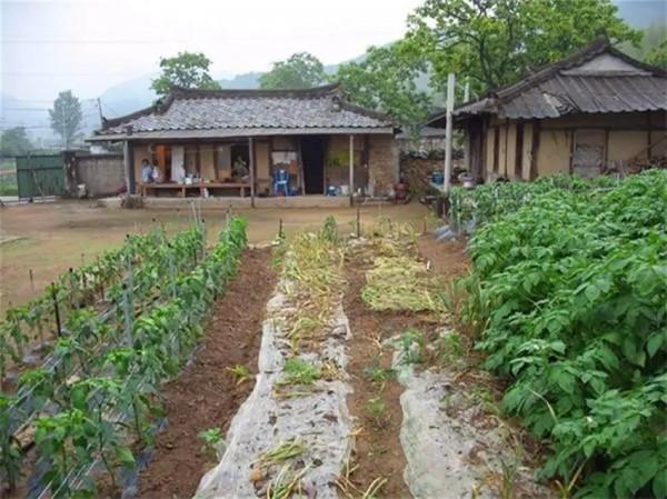 82張照片看最真實的韓國，人均GDP這麼高，真的很繁榮嗎？