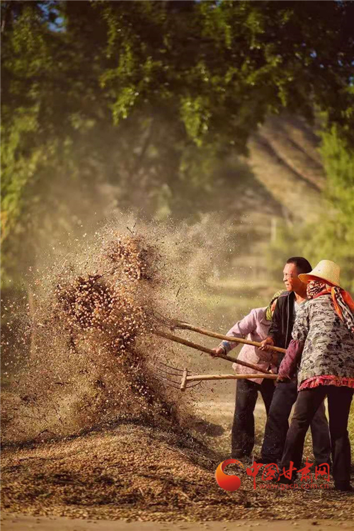 蘭州馬坡：看煙火人間醉美秋色