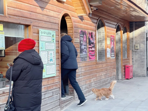 小貓咪都是怎樣&OpenCurlyDoubleQuote;爭寵&rdquo;的？