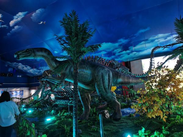 諸城恐龍博物館之旅