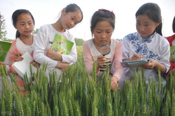 遇到“油鹽不進”的孩子,老師家長三招可以對治 遇到“油鹽不進”的孩子,老師家長三招可以對治