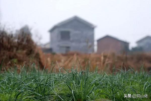 農村過年氣氛為什麼越來越淡？老農說出了3個原因！你認同嗎？