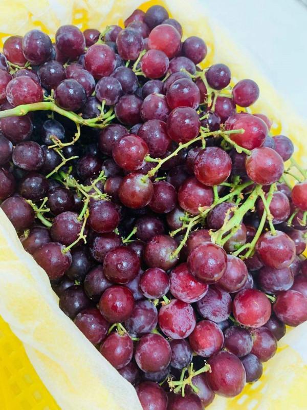 葡萄摘下來還會熟嗎？水果冷知識科普，你不知道的有趣知識