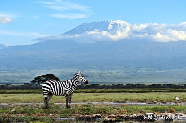坦尚尼亞，曾經的貿易中心，27個有趣的事實帶你深入瞭解這個國家
