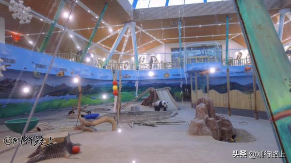 亞布力熊貓館，中國緯度較高、溫度較低的熊貓館