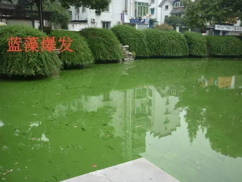 晁蓋為什麼鬥不過宋江?宋江是降維打擊,兩人就不在一個認知層次 晁蓋為什麼鬥不過宋江?宋江是降維打擊,兩人就不在一個認知層次