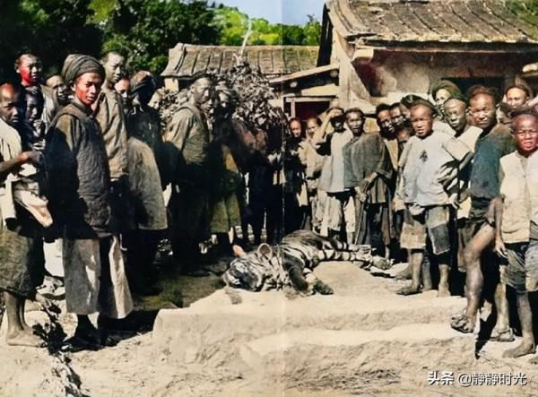 晚清老照片:男子扛著銅錢逛街,妃子樣貌醜,老虎被眾人圍觀 晚清老照片:男子扛著銅錢逛街,妃子樣貌醜,老虎被眾人圍觀