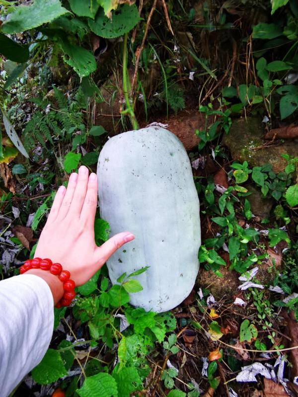 濃濃鄉村情，不捨三農人