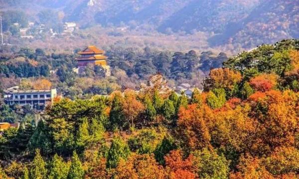 賞秋時節 | 打卡京郊這10條鄉村公路，藏著北京最美的秋天