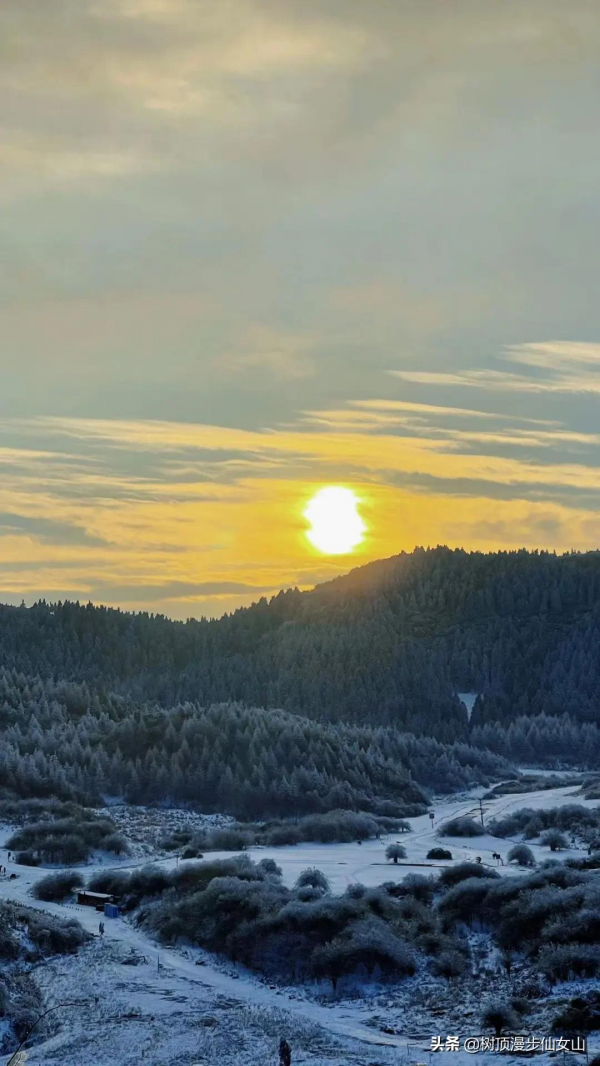 冬遊川渝，被冬季的仙女山驚豔了