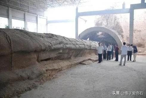 369米長的天下第一石龍之謎