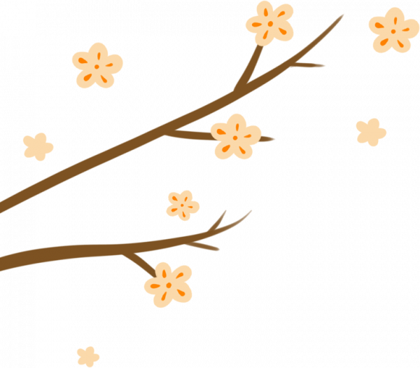 感謝有你&CenterDot;醫路追光