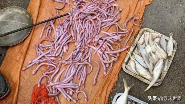 買魚時，內行人專買這9種純海魚，難以人工養殖，看完長知識