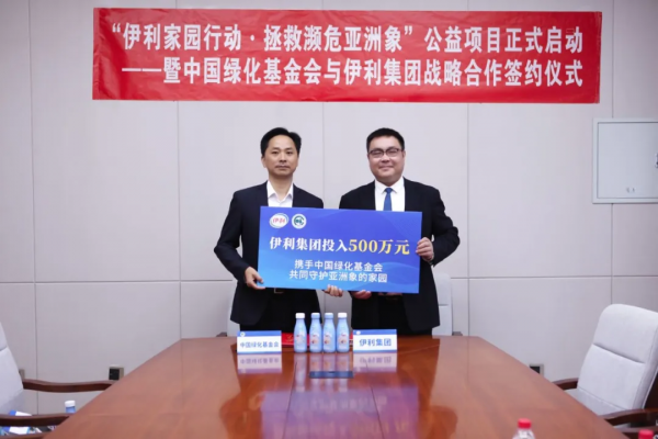 給“象”樣的爸爸,來個“象”樣的行動 給“象”樣的爸爸,來個“象”樣的行動