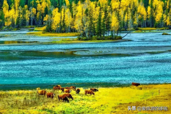 第一次去新疆怎麼玩！花了1個月總結出的保姆級攻略送上