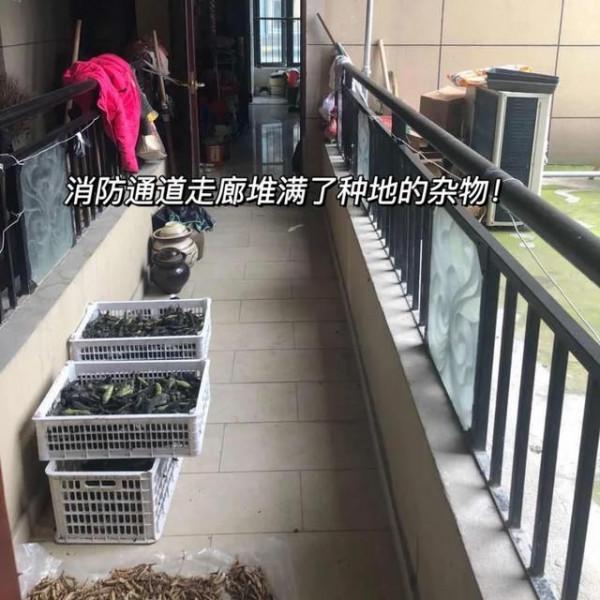 遇到這些“中國好鄰居”,日子過得那叫一個“苦不堪言”,服氣 遇到這些“中國好鄰居”,日子過得那叫一個“苦不堪言”,服氣