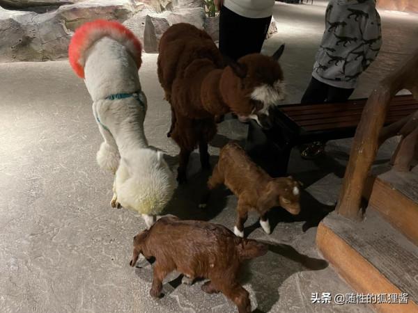 京城遛娃好去處，價格、硬體、軟體彙總，冬季遛娃好輕鬆