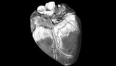 人類首例!豬腎移植人體手術完成,幾天內沒有排異反應發生 人類首例!豬腎移植人體手術完成,幾天內沒有排異反應發生
