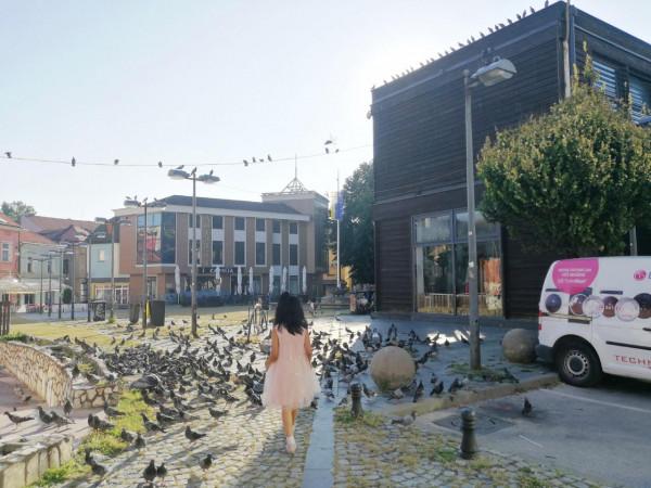 塞爾維亞和波黑之旅