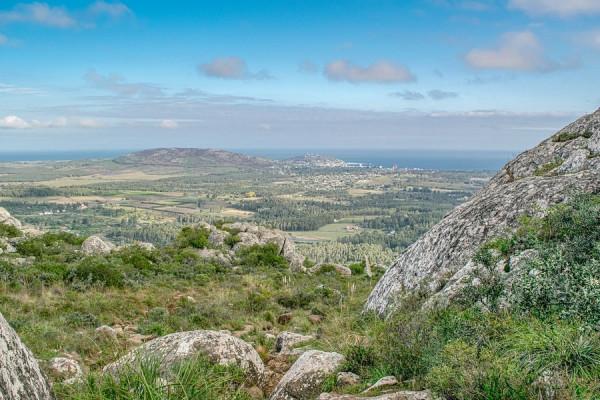金牛座2月運勢詳解，要及時認識到自身的問題，進行調整和改變