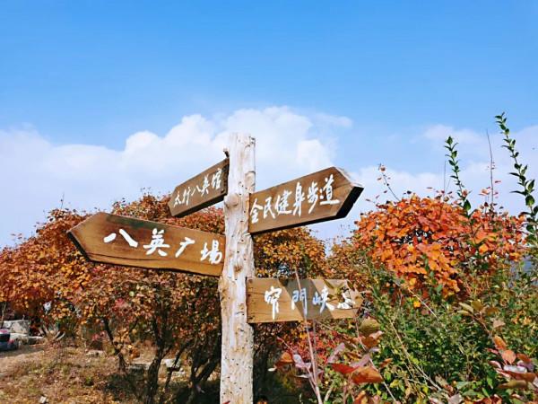 太喜歡秋天啦，帶你看紅葉奇觀