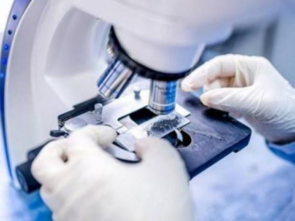 11月16日新聞早知道丨昨夜今晨·熱點不容錯過 11月16日新聞早知道丨昨夜今晨·熱點不容錯過