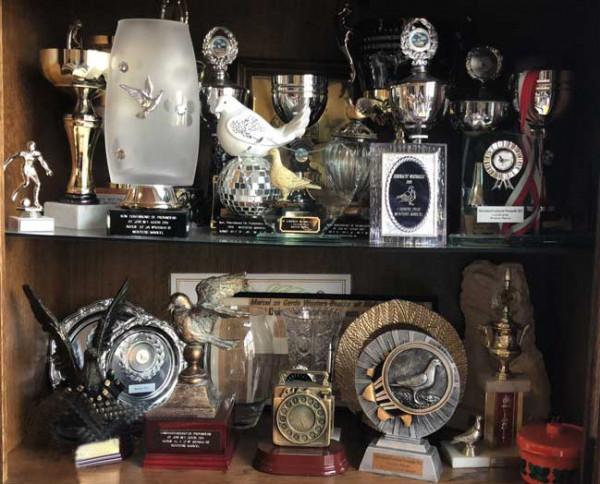 比利時鴿界的&OpenCurlyDoubleQuote;沉默巨匠&rdquo;