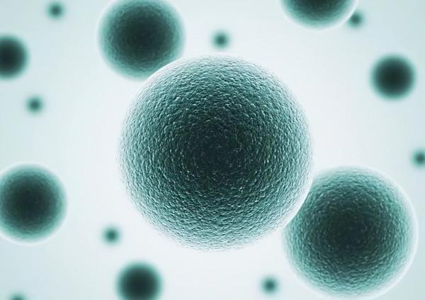 人死後，體內的“殭屍基因”開始活躍，試圖復活人類