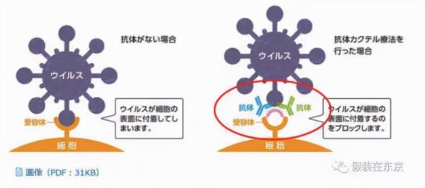日本新增病例數呈斷崖式下跌引發關注，德爾塔變異株病毒緣何“神秘消退”？