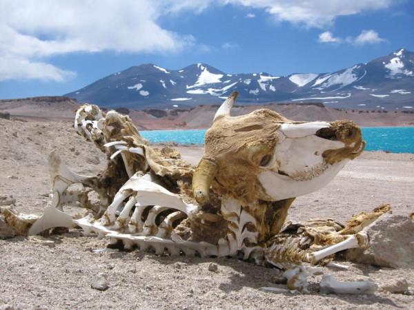 海拔近7000米的火山區：水資源匱乏無人居住，卻吸引大量遊客攀登