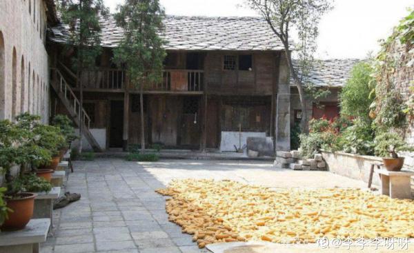 農村沒人住的小平房，8萬塊錢就能買下來，拿來養花正好