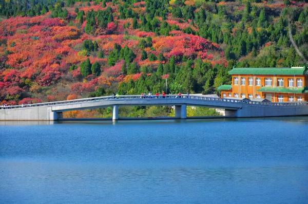 香山附近免費且人少的賞紅葉佳境，湖光山色、紅葉漫山