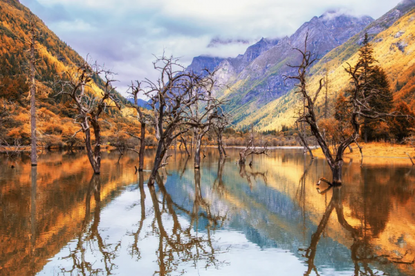 秋色來襲!7條自駕公路一網打盡四川最美風光,你去過幾條? 秋色來襲!7條自駕公路一網打盡四川最美風光,你去過幾條?