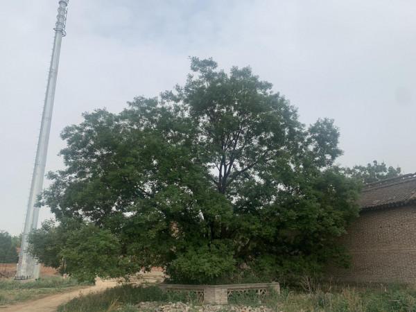 不靠煤炭,山西的經濟還能靠什麼? 不靠煤炭,山西的經濟還能靠什麼?