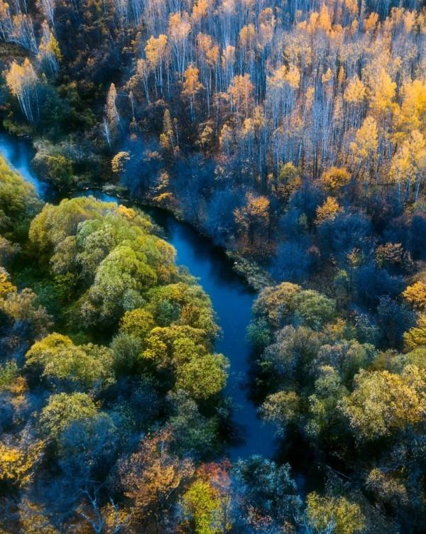 成年人玩得這麼野，小心把命都玩丟了