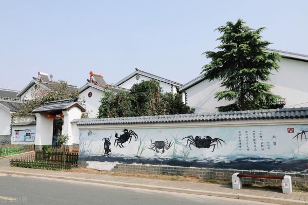 新農村遮醜牆倒塌,露出了黃土牆,打誰的臉,傷誰的心 新農村遮醜牆倒塌,露出了黃土牆,打誰的臉,傷誰的心