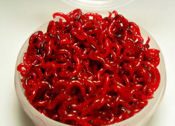 一斤能賣200元!多人靠紅蟲“暴富”,為何國家要斷他們的財路? 一斤能賣200元!多人靠紅蟲“暴富”,為何國家要斷他們的財路?