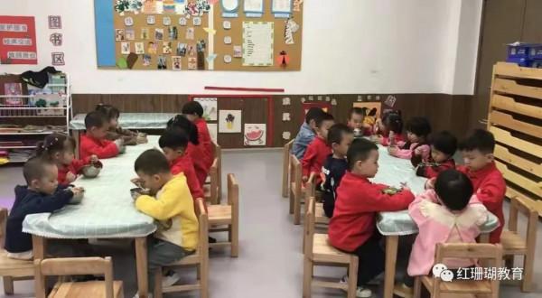 科學膳食，快樂成長——紅珊瑚國藝幼兒園之膳食篇