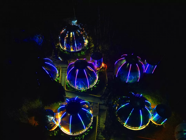 歡度中秋｜品茶、登高、撩秋，莫負西九華山好秋色