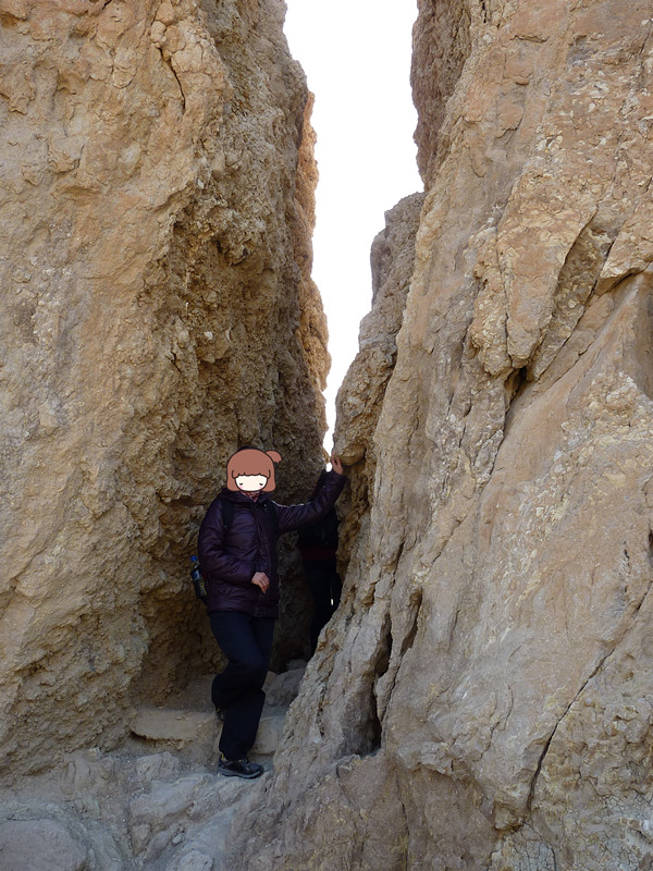 「突尼西亞2014」託澤尓（一）&mdash;&mdash;沙漠中的綠寶石