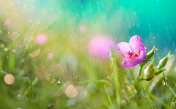 忘憂塔羅：雙魚座新年運勢，局面會有所改變，只是過程會漫長一些